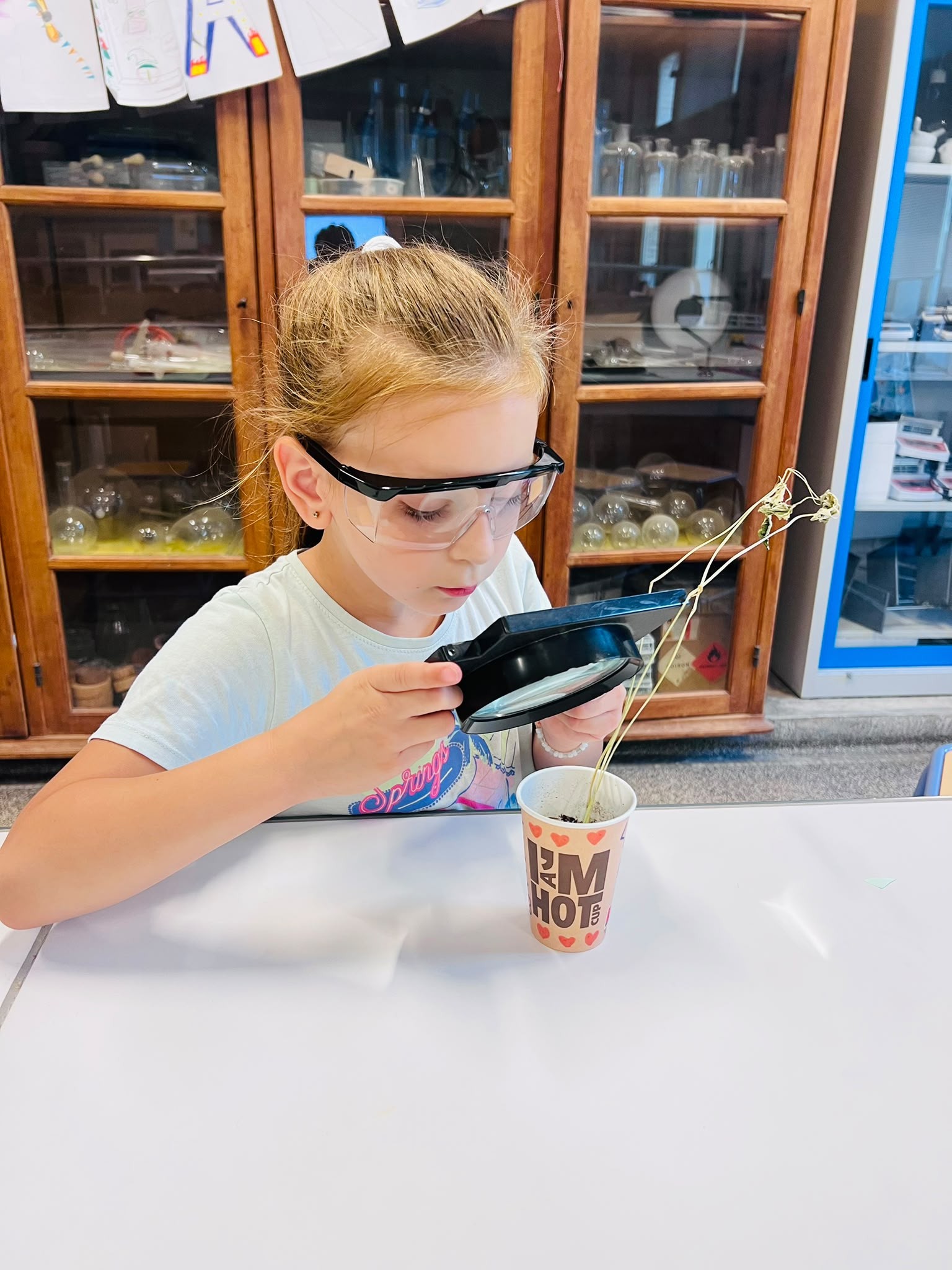 Enfant observant une expérience scientifique lors d'un stage Petits Débrouillards